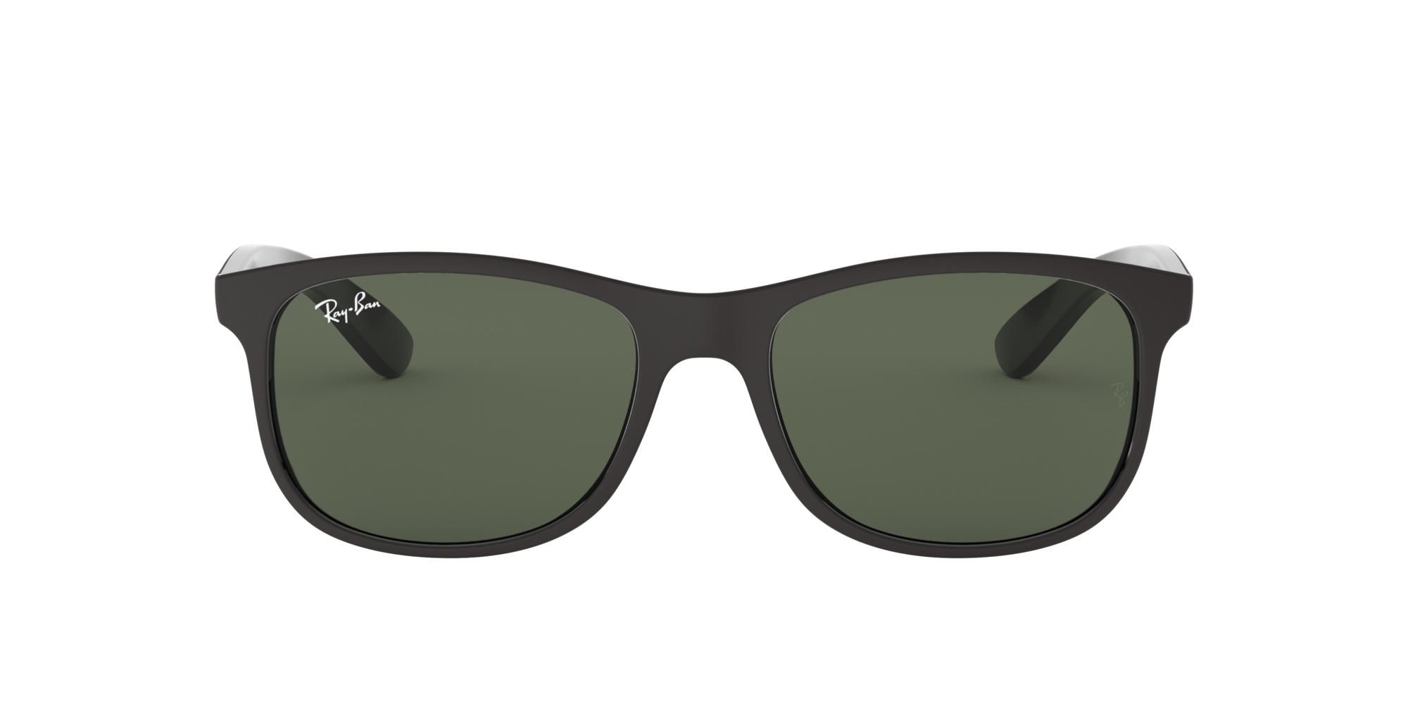 Ray Ban ANDY Sonnenbrille RB4202 606971 55