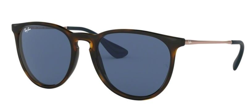 Ray Ban ERIKA Sonnenbrille RB4171 639080 54