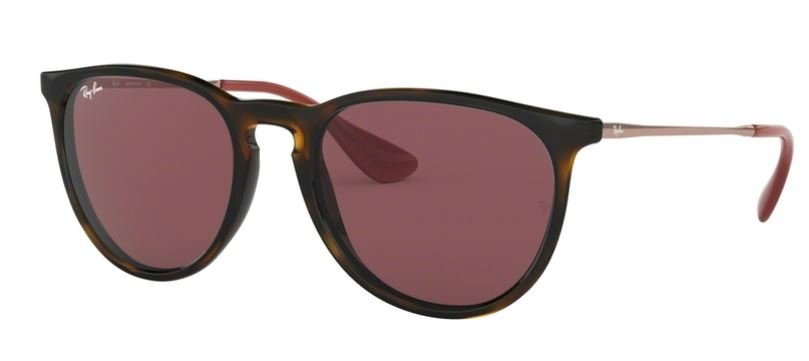 Ray Ban ERIKA Sonnenbrille RB4171 639175 54