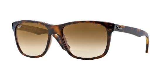 Ray Ban Sonnenbrille RB4181 710/51 57